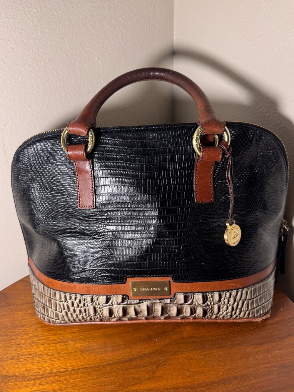 Brahmin Tricolor Vivian Dome Satchel